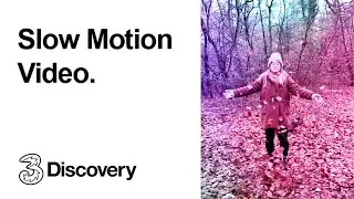 How to shoot a Slow-Mo Video | Autumn Winter Photography Tips | Three Discovery (2020)