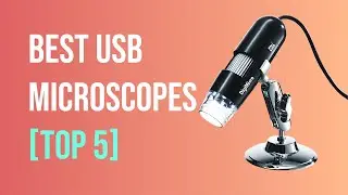 Best USB Microscopes for 2022 - Our Top Picks