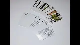 Wild Cards, Edible Wild Foods Survival Playing Cards.