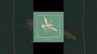 The Bird Song - Noah Floersch (1 hour!)