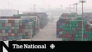 Shanghai&rsquo;s COVID-19 lockdown takes economic toll
