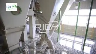 Biomass Animal Feed Pellet Production Line | Eco-Friendly Feed