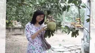 No promises tang e iu.flv