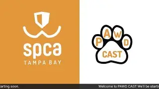 SPCA Tampa Bay PAWDcast | Adopt a Bunny | Senior Dog Needs a Home | Rescue Shelter Dogs