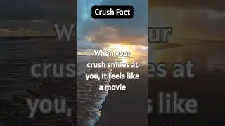 Crush Fact #amazingstats #curiousminds #dailyfacts #dailywisdom #didyouknow #discoverfacts
