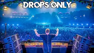Hardwell Tomorrowland 2015 Drops Only