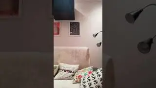 Алина 41