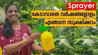 Sprayer കേടാവാതെ വര്ഷങ്ങളോളം എങ്ങനെ  സൂക്ഷിക്കാം  | Mini's Lifestyle