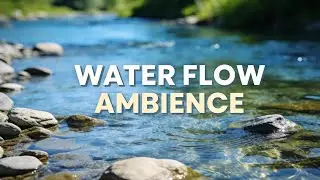 4 Hour River Water Sounds | Peaceful Shallow Stream Ambience | ASMR