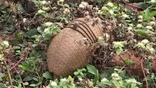 &iquest;Cu&aacute;nto te transforma una aventura en el Chaco profundo?