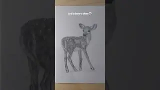 Draw A Simple Deer 𐂂 #art #drawing #traditionalart #pencilart #animaldrawing