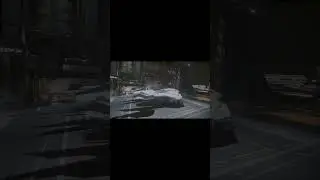 Funny SC Bugs #1