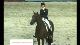 Jazz - Elite Stallions