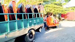 TURTLE TILLER -  USEFUL AND AFFORDABLE. THE BEST❤