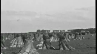 Biezenteelt Genemuiden, ca. 1960 (BB04101)