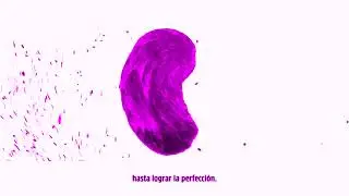 INKA CHIPS, RESPETA LAS PAPAS Logo H&igrave;story in G Major 