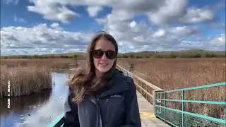 The Southern Georgian Bay Chamber of Commerce Year in Review: Videos