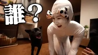 【トラウマ】人生で初めて犬に会わせたらｗｗｗｗｗｗｗ