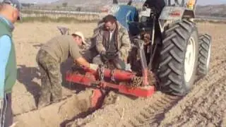 Plantando vi&ntilde;a