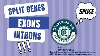 Exons and Introns SPLIT GENES| Molecular Biology | IIT JAM | CSIR NET | CUET (PG) | GAT-B | AIIMS