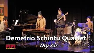 Demetrio Schintu Quartet  - Dry Air (PJPJ 2025)