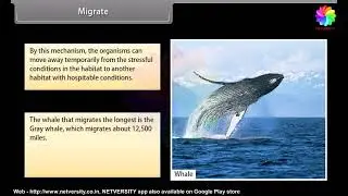 NEET 12th BIOLOGY Organisms and Population animation series in english by netversity