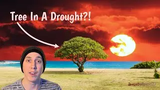 Prophetic Word From God 2020 | Covid-19 Coronavirus | #JesusBelieverJD
