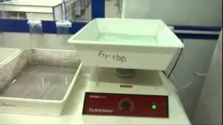crbt: Electrophorèse sur gel polyacrylamide
