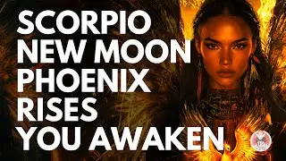 PHOENIX RISING Scorpio New Moon Meditation for Deep Healing & Rebirth 2025