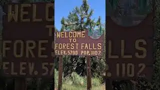 Forest Falls, Big Falls Trail | Day Adventure, and quick Hike | #shorts