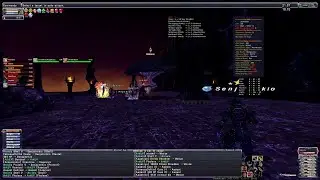 FFXI - Pup Sheol Gaol T3 Mboze Solo w/ Trusts