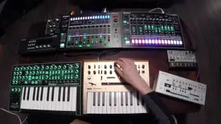 #303day Jams with Korg Monologue, Roland TB-03, TR-8, System-1, and MX1