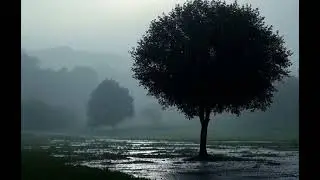 A Slideshow To Represent Misty Haze