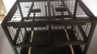 Double Aviary Trap Cage