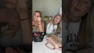 ❤️ #madlovesripley #monkey #grwm #beauty #fashion #makeup  #squirrelmonkey #animals #viral #cute