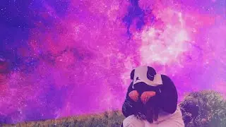 Fall Guys [Stream Highlights]