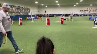 CPE Surfer Full House Q 12 27 25