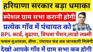 ग्राम सभा नहीं हुई तो क्या होगा, प्रत्येक पंचायत को ग्राम सभा कराने के आदेश जारी, पेंशन, मुआवजा, BPL