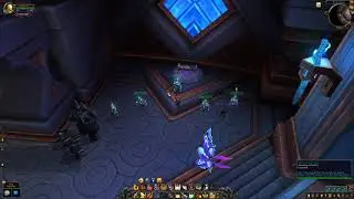 Focused Light, Paladin Conduit - From where to get, WoW Shadowlands