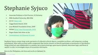 Stephanie Syjuco: New Aesthetics