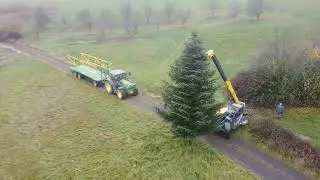 Weitersweiler - Weihnachtsbaum aufstellen - 13.11.2021