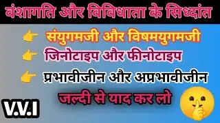 समयुगमक और असमयुगमक | जिनोटाइप और फीनोटाइप | #upboard  #important #biology #biharboard 