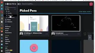 codepen.io and flutter