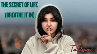 The Secret of Life (Breathe It In) - remembering that love is the real currency of the universe