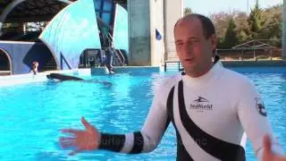 Seaworld School Doc.