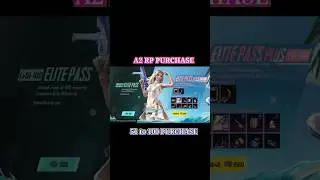 A2 RP PURCHASE 51 to 100