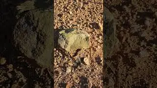 Green Random Rock #arizona #rocks #green