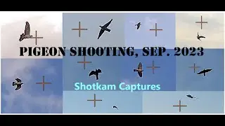 Pigeon Shooting with Tahir Farooq, 2023, UK