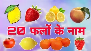 20 Fruits Name 🍎 | Kids Learning Video | Fruits Name in English & Hindi | Nursery Rainbow learner |