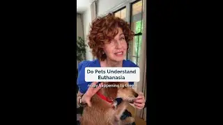 &iquest;Las mascotas entienden la eutanasia? #shorts